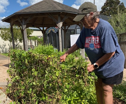 Reap the benefits: There’s a lot to gain from becoming a gardener