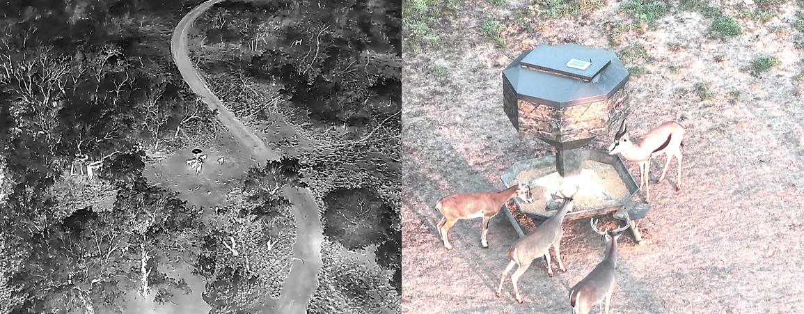 Woods, Waters and Wildlife: Drone images improve surveys