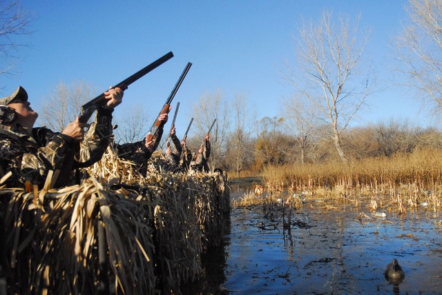 Duck hunting future may need private land management in East Texas