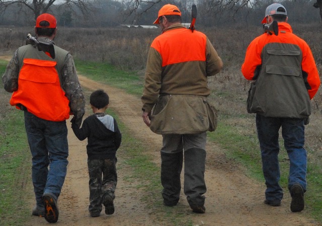 Eyeworms exist in quail, but are they to blame for decline?