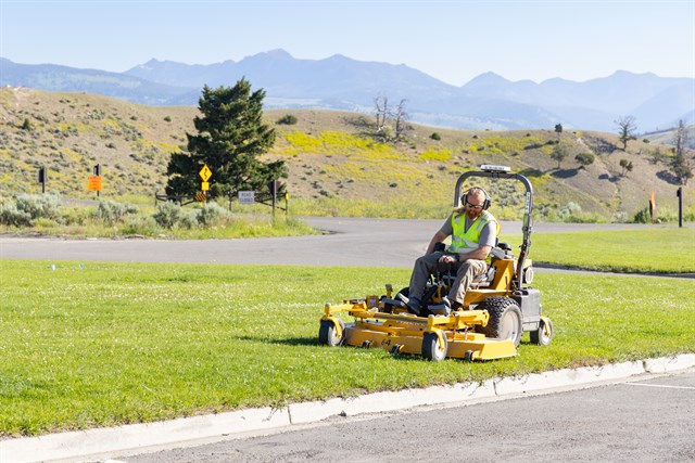 Nature Notes:  Kill Your Lawn