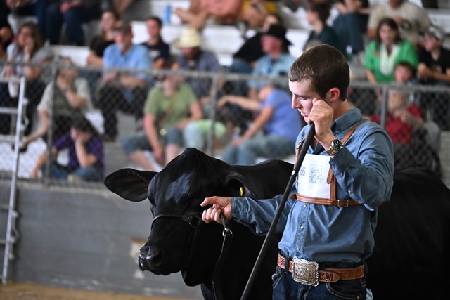 Victoria Livestock Show concludes with annual auction